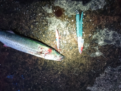 あけおめ、初釣果！