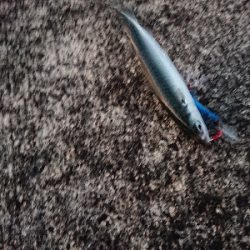 気嵐のサバチャン