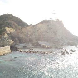 アジング佐田岬遠征②