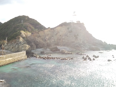 アジング佐田岬遠征②