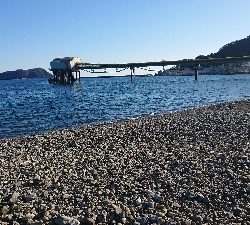 新城川河口にて