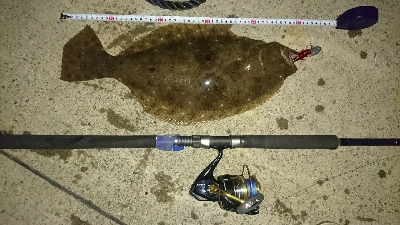 エギング諦めてからのヒラメ