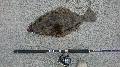 いい加減タモ買おうか…