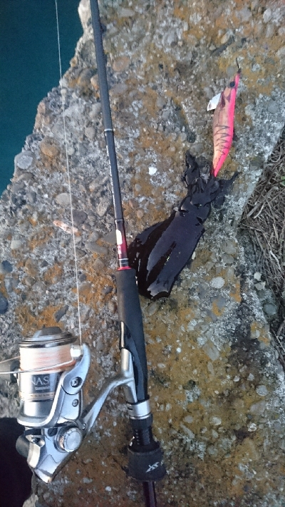 まだ、こんなのがいるのか…