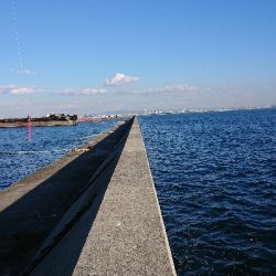 釣り部 釣行記 27