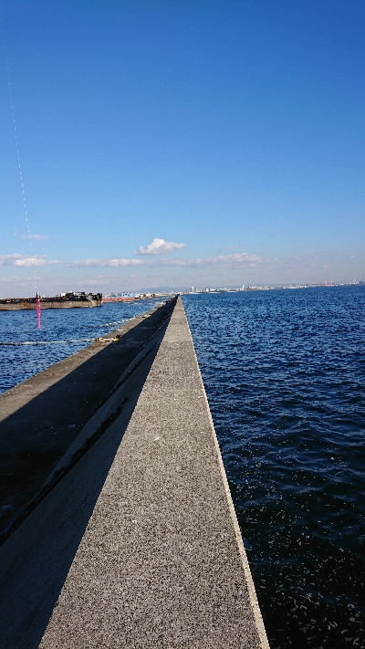 釣り部  釣行記  27