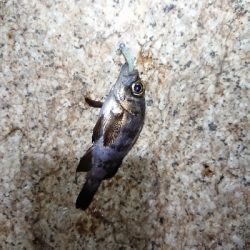 厳しい時期です。