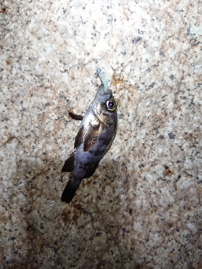 厳しい時期です。