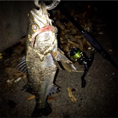 ファーストフィッシュ！