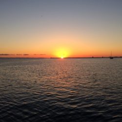 釣り初めサビキ