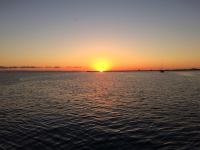 釣り初めサビキ