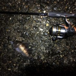 元日ライトゲーム