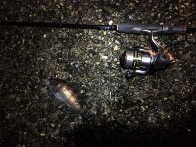 元日ライトゲーム