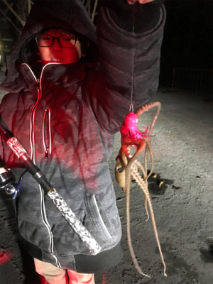 短時間 タコ狙い