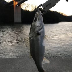 2日目（その2）プチ爆