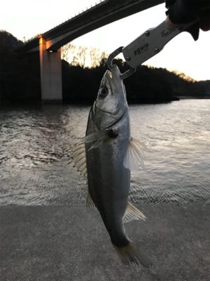 2日目（その2）プチ爆