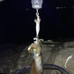 初釣り。初ヤエン。