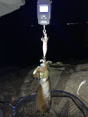 初釣り。初ヤエン。