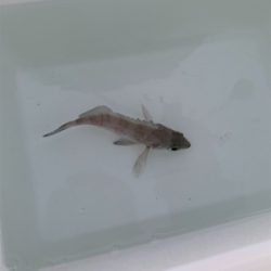 遠征帰りの2時間ライトワインド