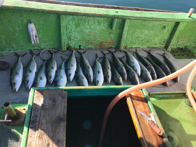 孝洋丸 落とし込み