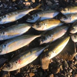 サーフアジング