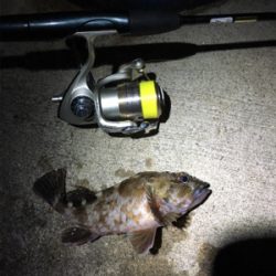 朝からライトゲーム