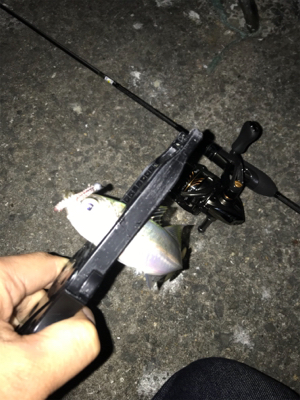 アジング・メバリング