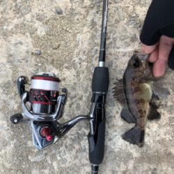 平成31年初釣り！