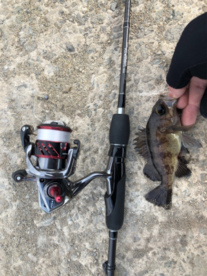 平成31年初釣り！