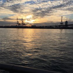 大阪湾奥アジング 初釣り