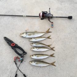 正月休みを利用して遠征