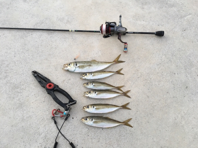 正月休みを利用して遠征