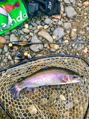 トラウトフィッシング