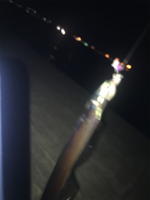 貴重な一本です!