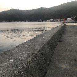 メバリング的なナニか