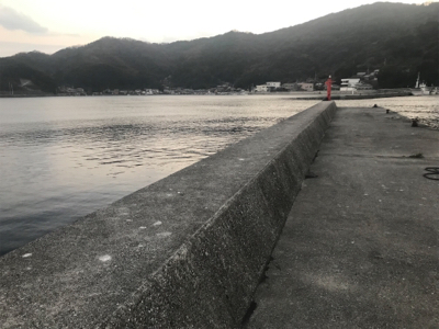 メバリング的なナニか