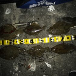 岸和田一文字でカレイ!