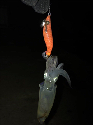 40分のプチ1091のヒイカ釣り＼(^^)…