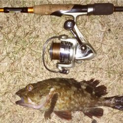 メバリンガー+α1825〜1910