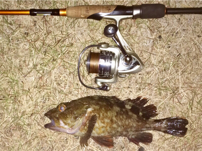 メバリンガー+α1825〜1910