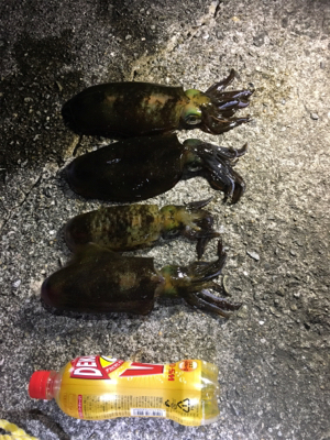 年明けも。。。。