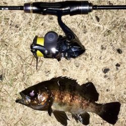 メバリンガー1810〜1850