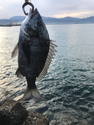 メバリングのはずが。。。。。。