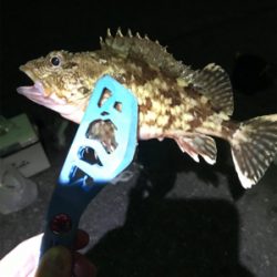 樋合新港ライトゲーム