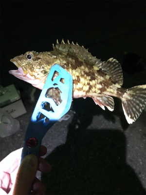 樋合新港ライトゲーム