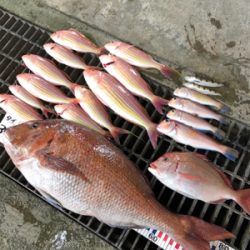 今年初の大物は..