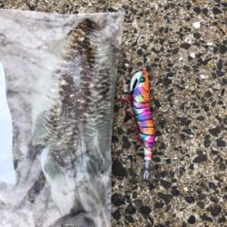 底物狙いのはずが、、、