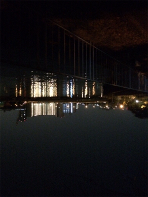 ロックフィシュ 狙い釣行