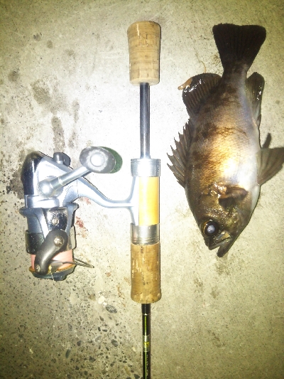 メバリング〜サーフ