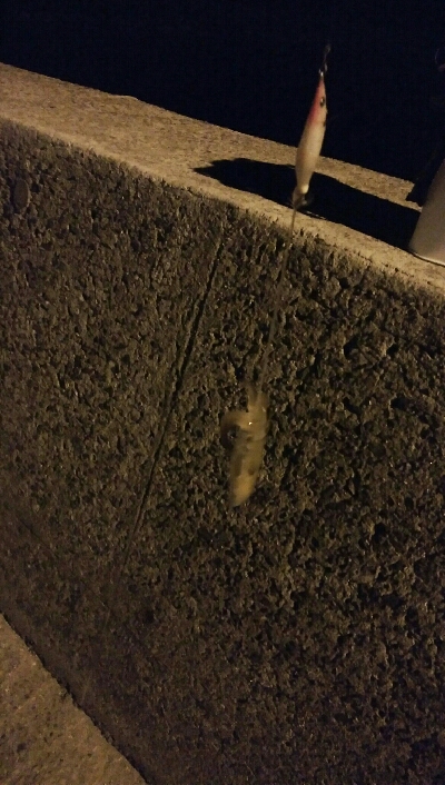 ヒイカ、まだ楽しめます!